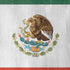 Mexico Flag Distressed iPhone XS Pro Case